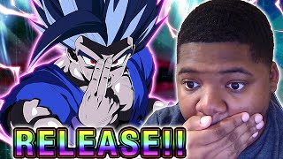 These 9th Anniversary LR Beast Gohan Summons Are UNBELIEVEABLE  Dokkan Battle [upl. by Enelec]