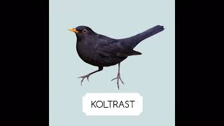 Koltrast läte [upl. by Almund550]