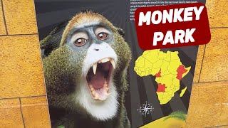 MONKEY PARK TENERIFE Canary Islands  Amazing Place For Kids amp Adults 🇪🇸 [upl. by Mandel385]