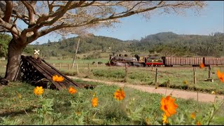 Série Estações da Mogiana – Episódio 10 – Orlândia a Jardinópolis [upl. by Lenehc985]