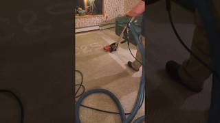 Extreme Carpet Cleaning with the Zipper Wand [upl. by Palmore668]