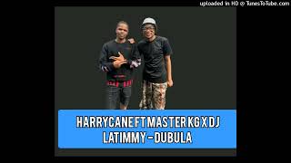 HARRYCANE FT MASTER KG X DJ LATIMMY  DUBULA [upl. by Fionnula837]