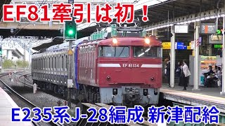 【E235系初のEF81牽引！】配給の転線シーンも！ E235系J28編成 新津配給 戸塚駅通過 20231109 配9645レ EF81 134E235系J28編成 戸塚駅にて [upl. by Fania]