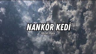 Ahmet Kaya  Nankör kedi [upl. by Catlee]