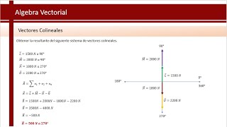 Vectores Colineales  Física [upl. by Eilhsa]