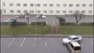 Typhoon Flips a Car [upl. by Scarrow669]