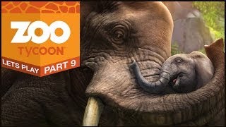 Zoo Tycoon Xbox One  Lets Play 9  TooCuteCantBear It [upl. by Leahcir878]