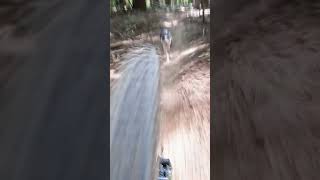 PUPS BEHIND THE BIKE SATURDAY One happy cattle dog herding the bike down trail shorts dog mtb [upl. by Ennaehr302]