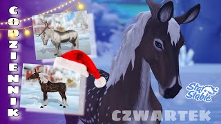 CODZIENNIK  ŚWIĄTECZNE KONIE I ICH ZAPOWIEDŹ  STAR STABLE  CZWARTEK 211124 [upl. by Eidnew]