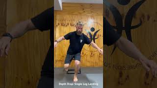 Depth Drop Single Leg Landing [upl. by Iccir]