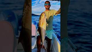 BigPoint Fishing fishing fish boating gopro fishinglife spearfishing summer [upl. by Ellivnarg]