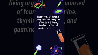 GeneticCode DNA adenine thymine cytosine and guanine shorts [upl. by Aitnecserc]