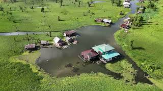 Floating Forest and Floating Villages of the Manobo Tribe of Agusan Marsh Wildlife Sanctuary [upl. by Latonia667]