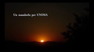 Un mandorlo per UNIMA Italia da Montemurro a Busto Arsizio – 21 marzo 2023 [upl. by Uund]