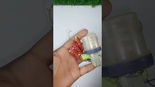 How to make dc motor se bana ek mini mixture machineshortvideo viralvideo shorts [upl. by Myron]