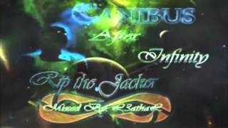 Canibus  10000 Bars RTJ IIIFINITY 2012 ad Rip the JACKER 2 preview [upl. by Eus]