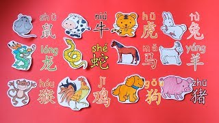 学中文动物十二生肖  Learn The 12 Animals Of Chinese Zodiac  Aprender Los 12 Animales del Zodiaco Chino [upl. by Malarkey]