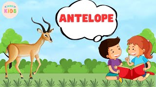 Antelope Facts For Kids 😊 Learn All About Antelopes  MON Kids [upl. by Nahtaneoj44]