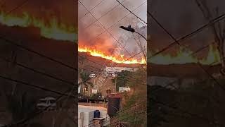 Incêndio destrói 10 hectares de vegetação em Brumadinho [upl. by Golda]