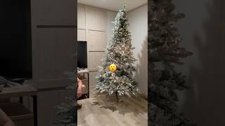 We bought a 5 Christmas tree 🎄christmas vlogmas family home christmastree homedecor shorts [upl. by Yug]