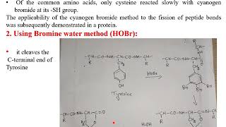 cleavage of peptide bond [upl. by Fairlie]