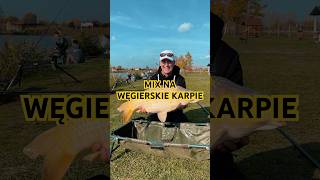 fishing methodfeeder carpfishing feeder carp feederfishing carpfish feederlife [upl. by Niai769]