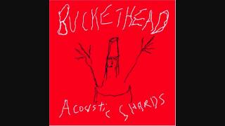 Buckethead For Mom  Early Version [upl. by Genesia]