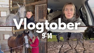 SEHR VIEL REALITÄT🙄 Geht mehr bergab als bergauf  Vlogtober 914 [upl. by Amada]