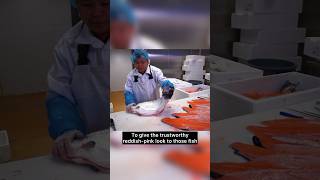 Why Does FarmRaised Salmon Look So White Shocking Truth salmon foodfacts [upl. by Alasteir653]