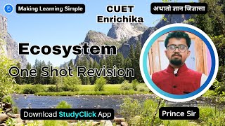 Ecosystem  One Shot Revision  NCERT Class 12 neet cuetug [upl. by Ikkir]