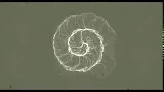 ARCTURIAN SOUND HEALING l FIBONACCI FREQUENCIES SEQUENCE l GOLDEN SPIRAL [upl. by Magdalena]