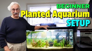 Unleash Your Creativity How To Create A Stunning Natural Planted Aquarium [upl. by Ahsit224]