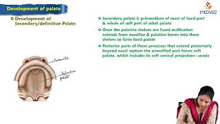 Development of palate  MBBS Lecture [upl. by Rice]