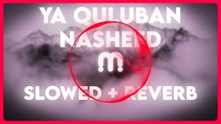 Ya Quluban Nasheeds  Slowed  Reverb  Nasheeds Library [upl. by Siuqramed]