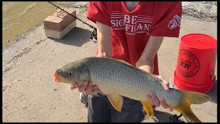 Catching Carp  Calins Outdoor Adventures [upl. by Alethea649]