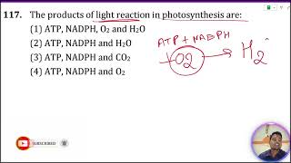 The products of light reaction in photosynthesis are 1 ATP NADPH and 2 ATP NADPH [upl. by Latrena]