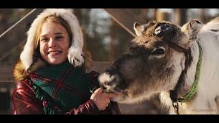 Arctic Treehouse Hotel  Lapland the Home of Santa Claus [upl. by Terrej]