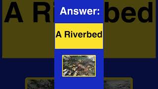 Riddle Part 1 quiz facts geography guessthecountry facts world world quiztime riddles asia [upl. by Tod]