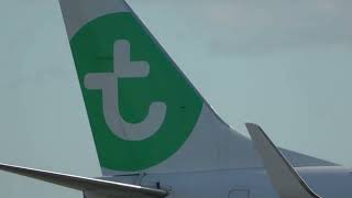 Transavia B737800 Schiphol [upl. by Ellednek]