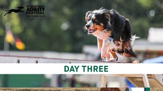 The Kennel Club International Agility Festival 2024  Day 3 Main Ring [upl. by Oralie835]