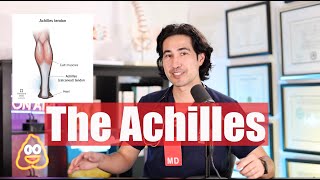 Achilles Tendon  Doctor Explains [upl. by Luba]