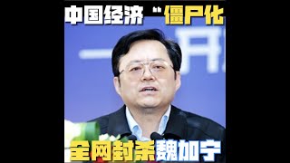 【全网封杀 魏加宁】中国经济面临“僵尸“六大风险 ！市场 企业 银行 央行 财政 政府“ 被封杀的经济学家魏加宁说 [upl. by Asabi]