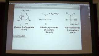 16 Kevin Aherns Biochemistry  Carbohydrates I [upl. by Adiam228]