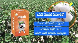 Osheen  Telugu [upl. by Jadd]