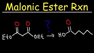 Malonic Ester Synthesis Reaction Mechanism [upl. by Schluter514]