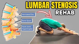 2 Exercises for Low Back Lumbar Stenosis [upl. by Apfel708]