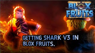 Getting Shark V3 in Blox Fruits [upl. by Mendy528]