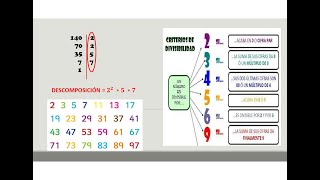 COMO DESCOMPONER UN NÚMERO EN FACTORES PRIMOS [upl. by Aurilia35]