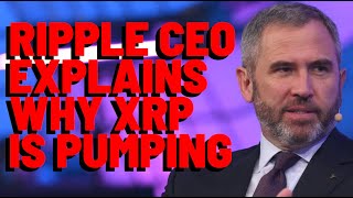 XRP Ripple CEO Explains WHY XRP IS PUMPING [upl. by Eachelle]