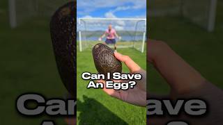 What should the Kilted Keeper save next 🧤🥚 football goalie goalkeepertraining goalkeeper [upl. by Wald]